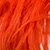 BRE-0418_Strauss_apricose_539_50x50.jpg