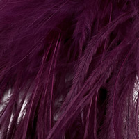 aubergine-545 aubergine-545