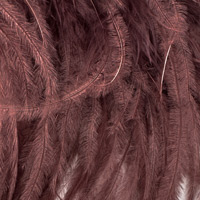 braun-511 braun-511