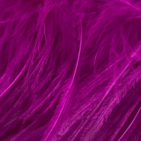 fuchsia-554 fuchsia-554