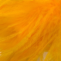 goldgelb-517 goldgelb-517