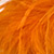 BRE-0418_Strauss_orange_509_50x50.jpg