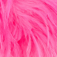 pink-515 pink-515