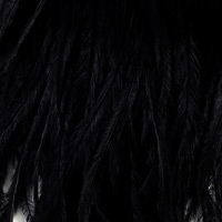 schwarz-501 schwarz-501
