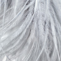 silber-512 silber-512