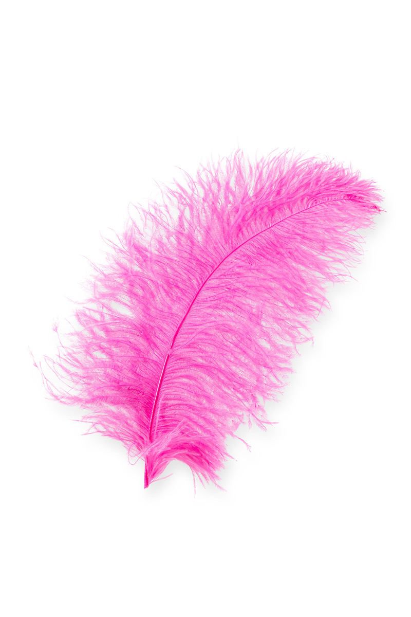 Straußenfeder in pink