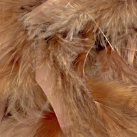 braun-011 braun-011