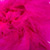 BRE-0424_Chandelle_erike_025_50x50.jpg