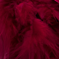 fuchsia-054 fuchsia-054