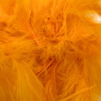goldgelb-017 goldgelb-017