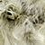 BRE-0424_Chandelle_oliv_057_50x50.jpg