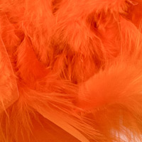 orange-009 orange-009