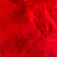 rot-003 rot-003