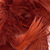 BRE-0424_Chandelle_rotbraun_061_50x50.jpg