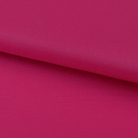 fuchsia fuchsia