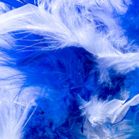 Farbpunkt blau-weiß