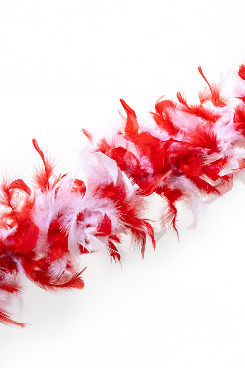 Chandellenboa rot-weiß