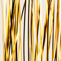 Farbpunkt gold