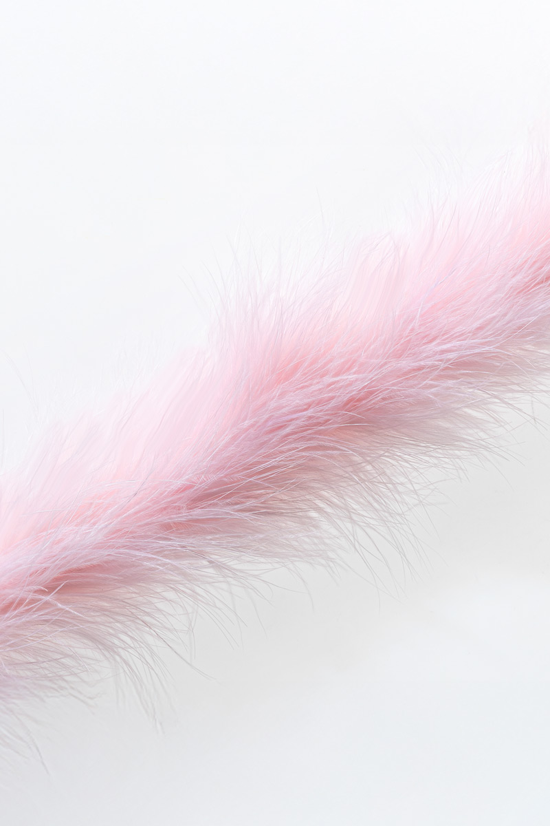 Marabu in rosa