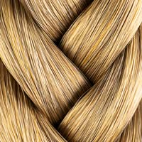 mittelblond-16 mittelblond-16