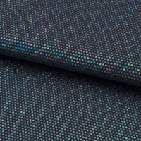 holo-schwarz