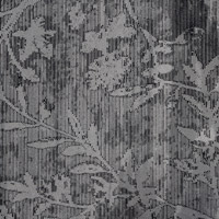 schwarz-silber