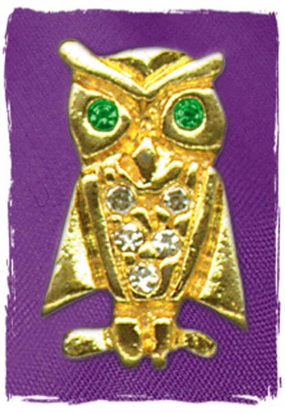 Pin „Eule“